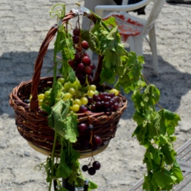 A las puertas de la catedral vendedores ambulantes con racimos de uva